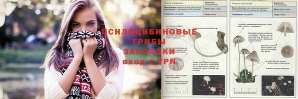 Альфа ПВП Гусь-Хрустальный