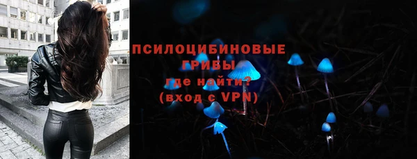 стафф Усмань