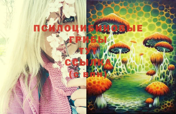 твердый Усинск