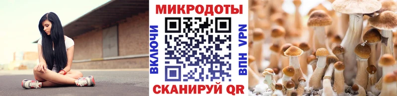 Галлюциногенные грибы ЛСД Обоянь
