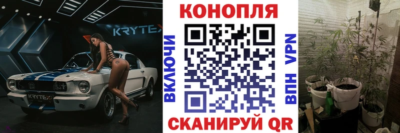 Канабис Ganja  MEGA tor  Обоянь  купить наркоту 